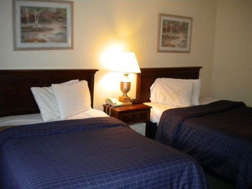 Bossier Inn And Suites 波西尔城 外观 照片